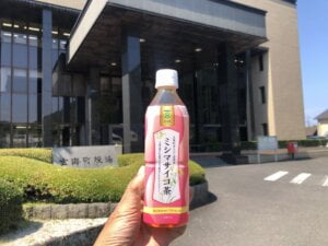 玄海町「ミシマサイコ茶」試飲モニター募集！