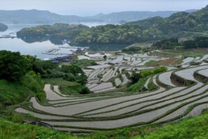 棚田ツアー～悠久の歴史を偲ぶ～